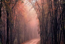 31省新增本土12例，九江疫情最新消息