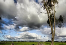 2022年8月12日鄯善县新增确诊病例情况_57121