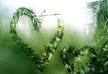 岳池新增1例无症状感染者  岳池县疫情防控最新通报_37669