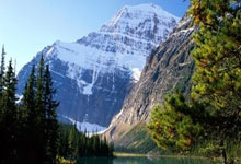 2019年X月X日轮台县新增确诊病例情况