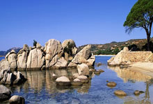 31省新增本土12例，九江疫情最新消息